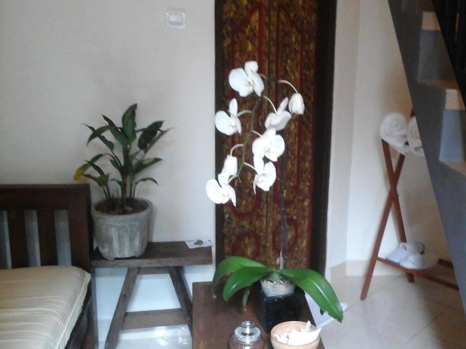 Corner Guest House Ubud Eksteriør billede